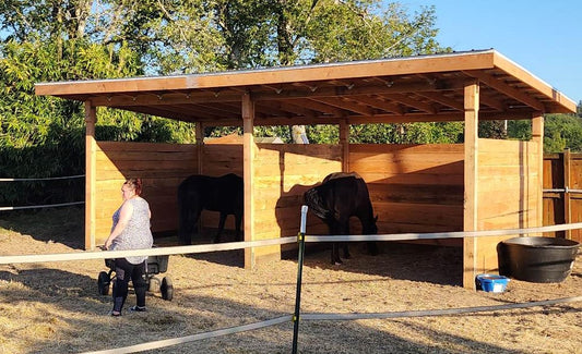 12'x24' horse shelter kit with 16'x28' galvanized Delta rib metal roof